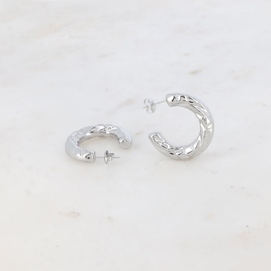 Earrings Cézanne Silver