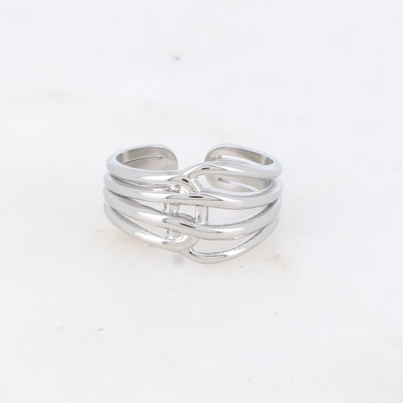 Ring Max Silver