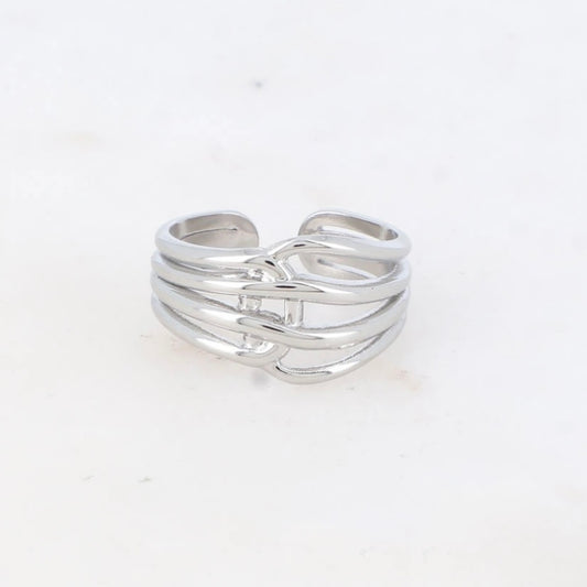 Ring Max Silver
