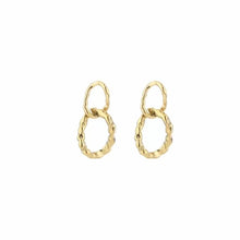 Load image into Gallery viewer, Earrings Sam Gold
