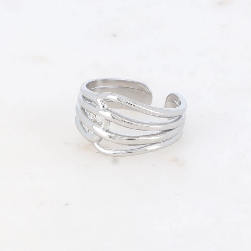 Ring Max Silver
