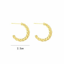 Load image into Gallery viewer, Earrings Braid Gold
