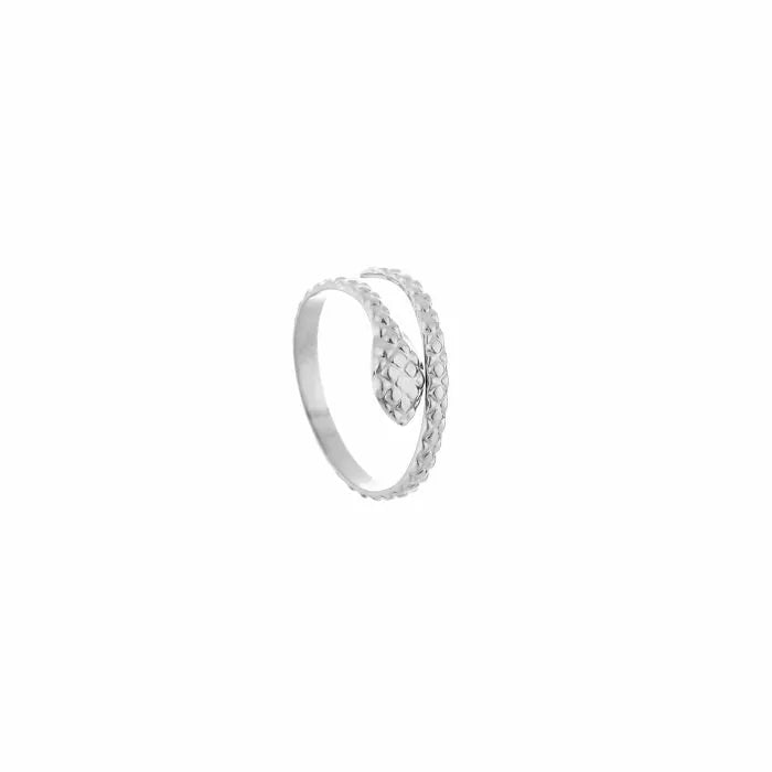 Ring Snake Silver