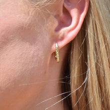 Load image into Gallery viewer, Earrings Babette Gold

