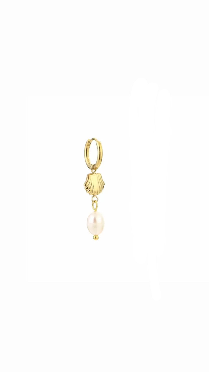Hoop Seashell Gold