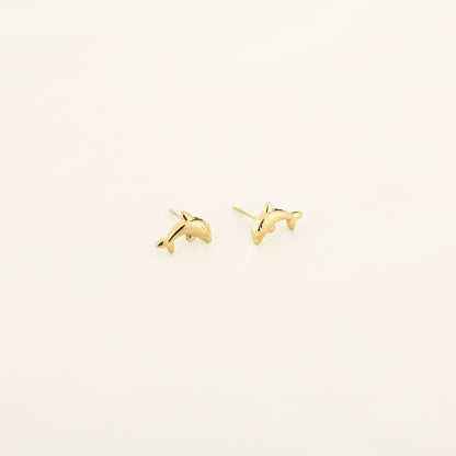 Studs Dolphins